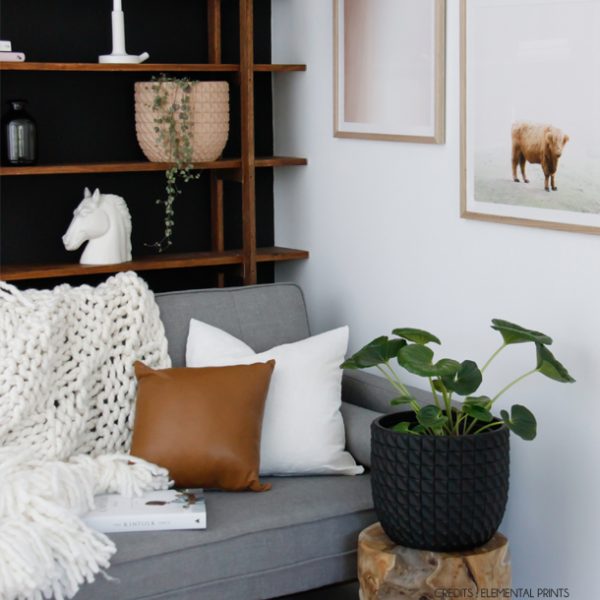 Leather Cushion - Tan ( No fill, tiny marks) - Image 2