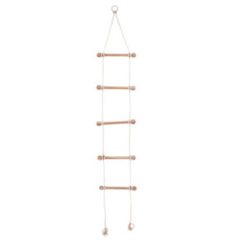 Floyd Ladder